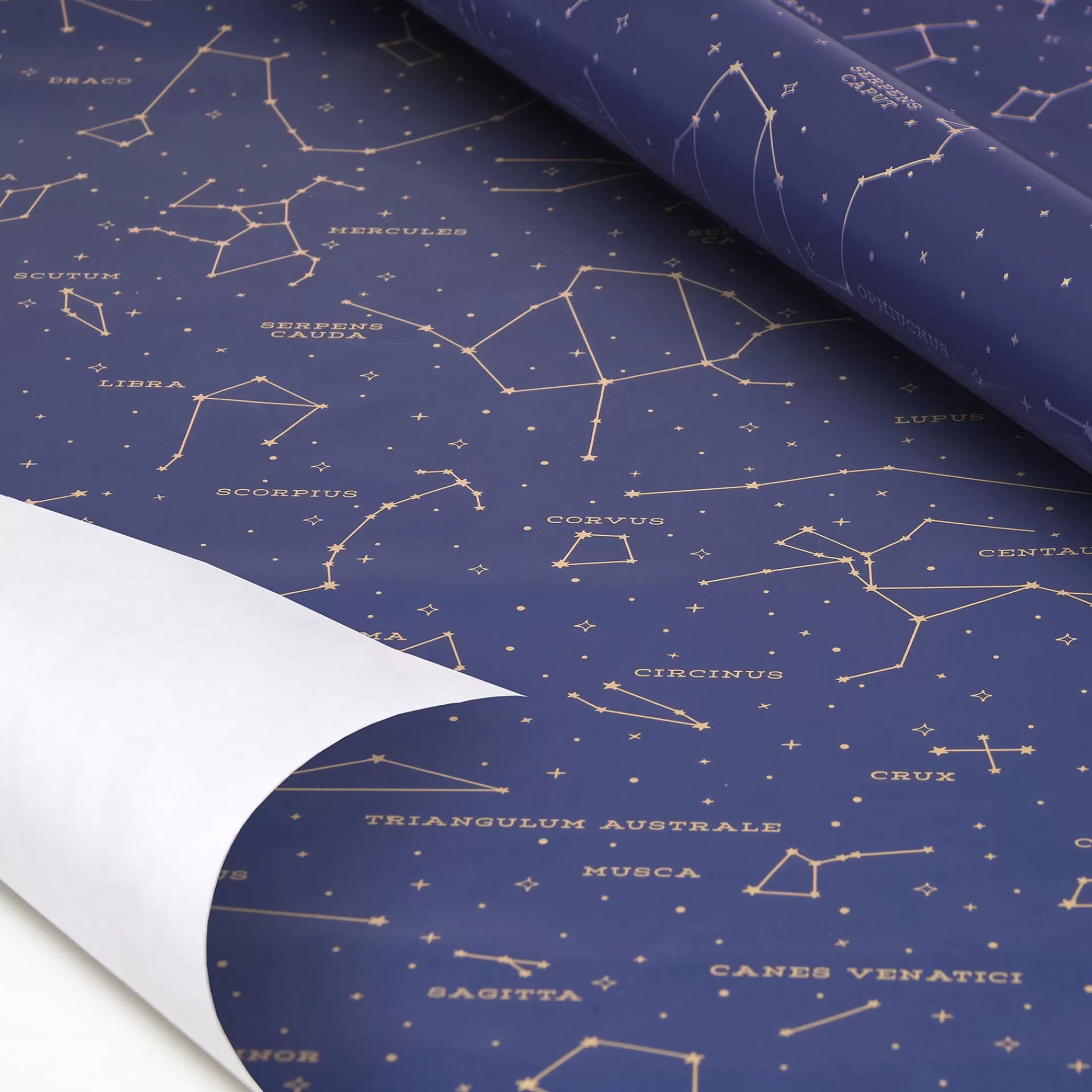 Legami Milano Geschenkpapier^Geschenkpapier