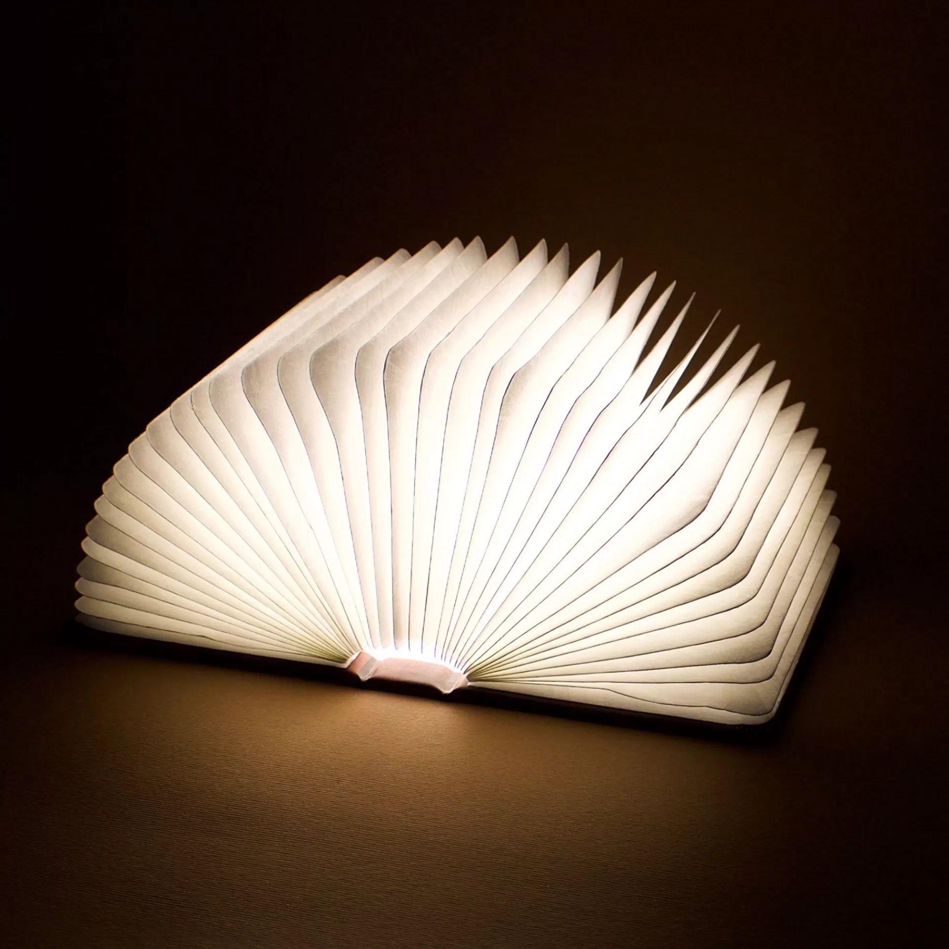 Legami Milano Lampen^Leuchtendes Buch Small - Light Book