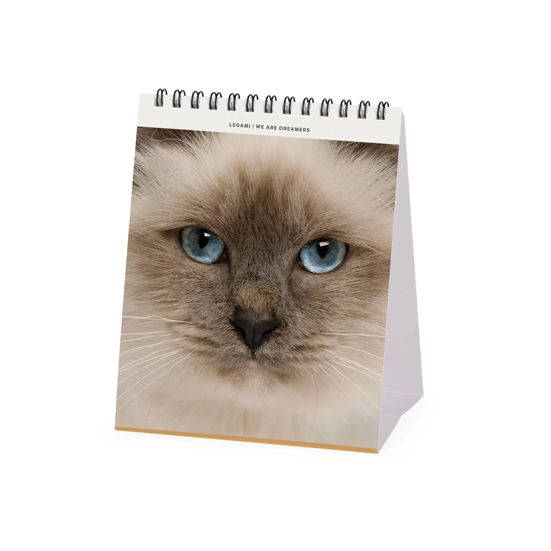 Legami Milano Tischkalender^Tischkalender 2025 - 12 x 14,5 cm