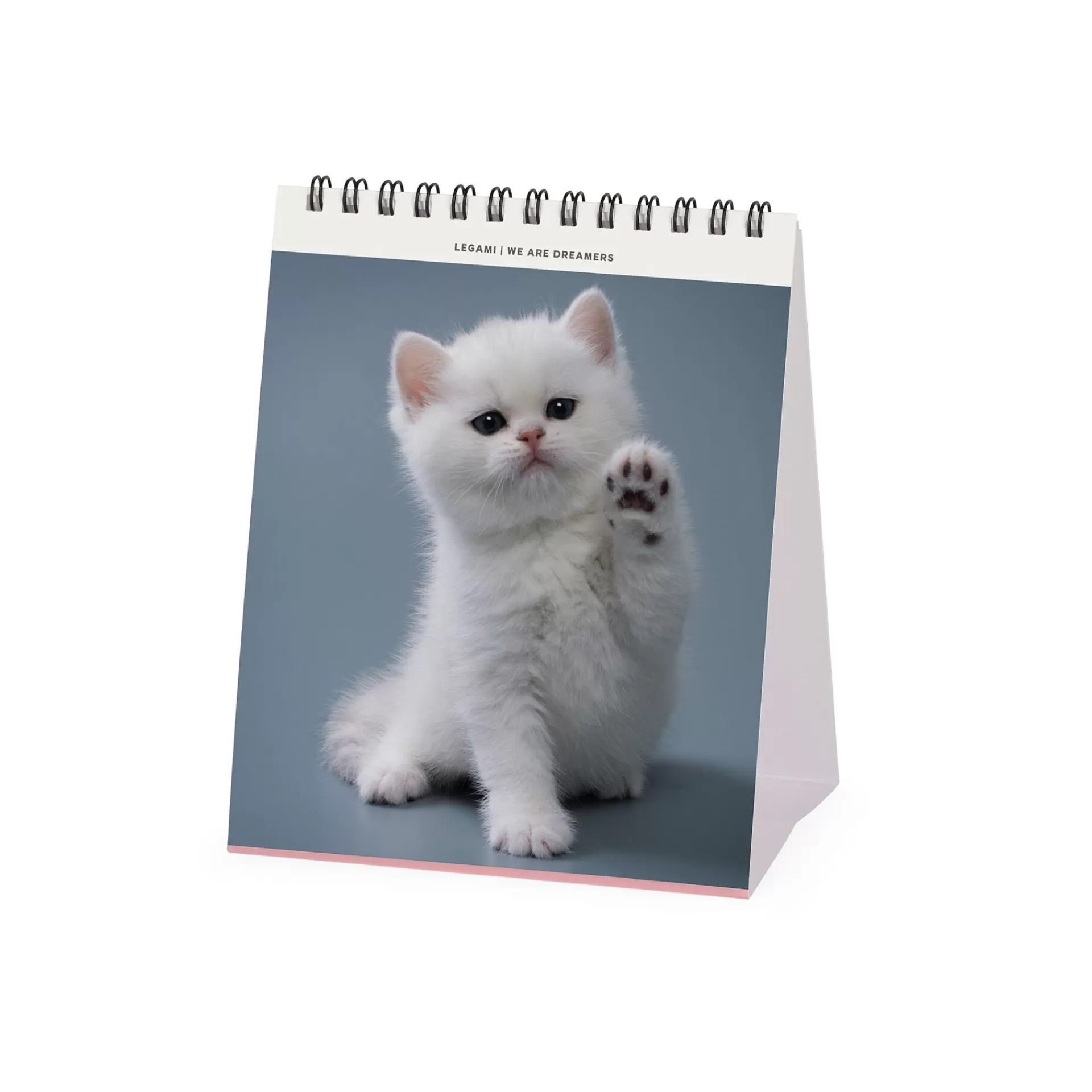 Legami Milano Tischkalender^Tischkalender 2025 - 12 x 14,5 cm