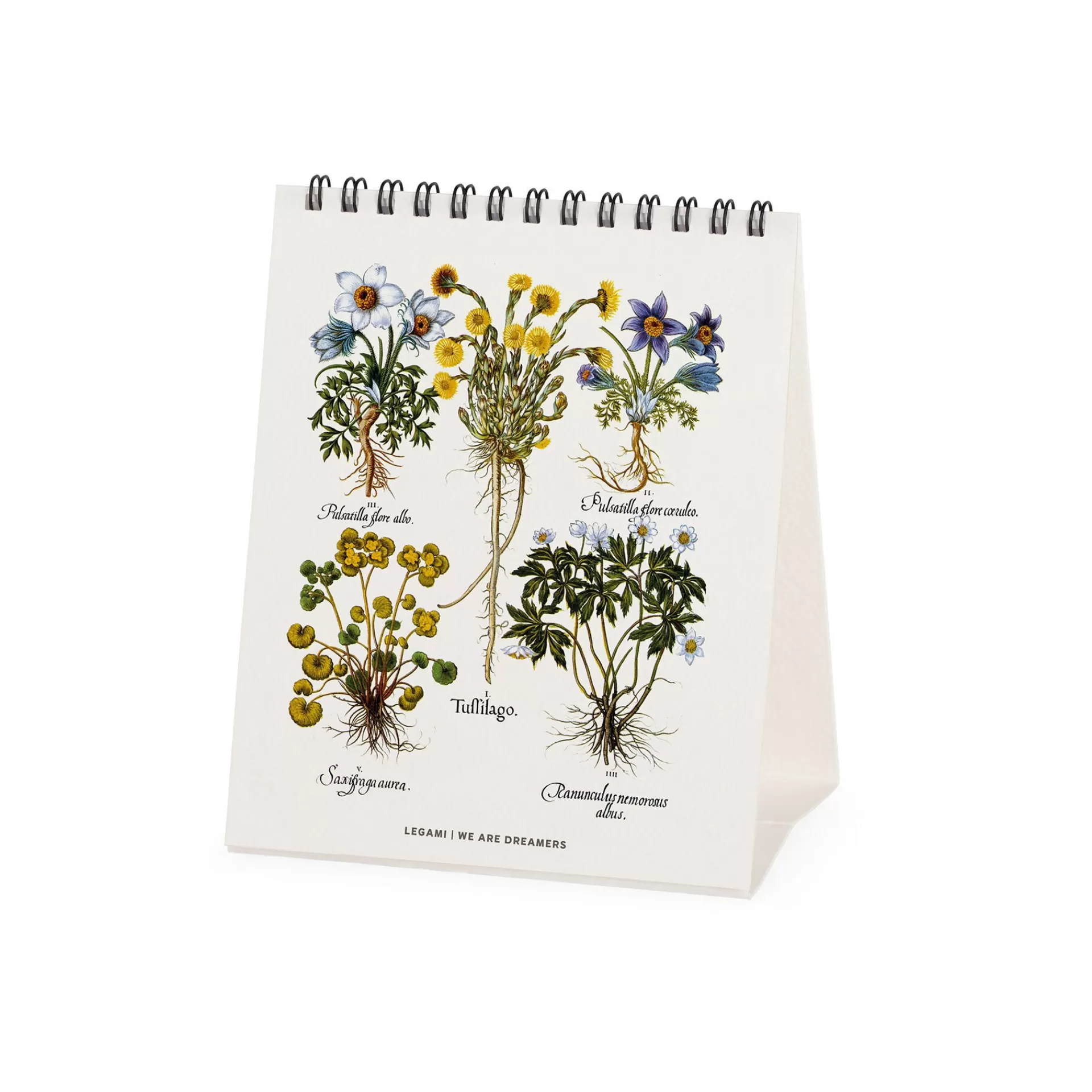 Legami Milano Tischkalender^Tischkalender 2025 - 12 x 14,5 cm