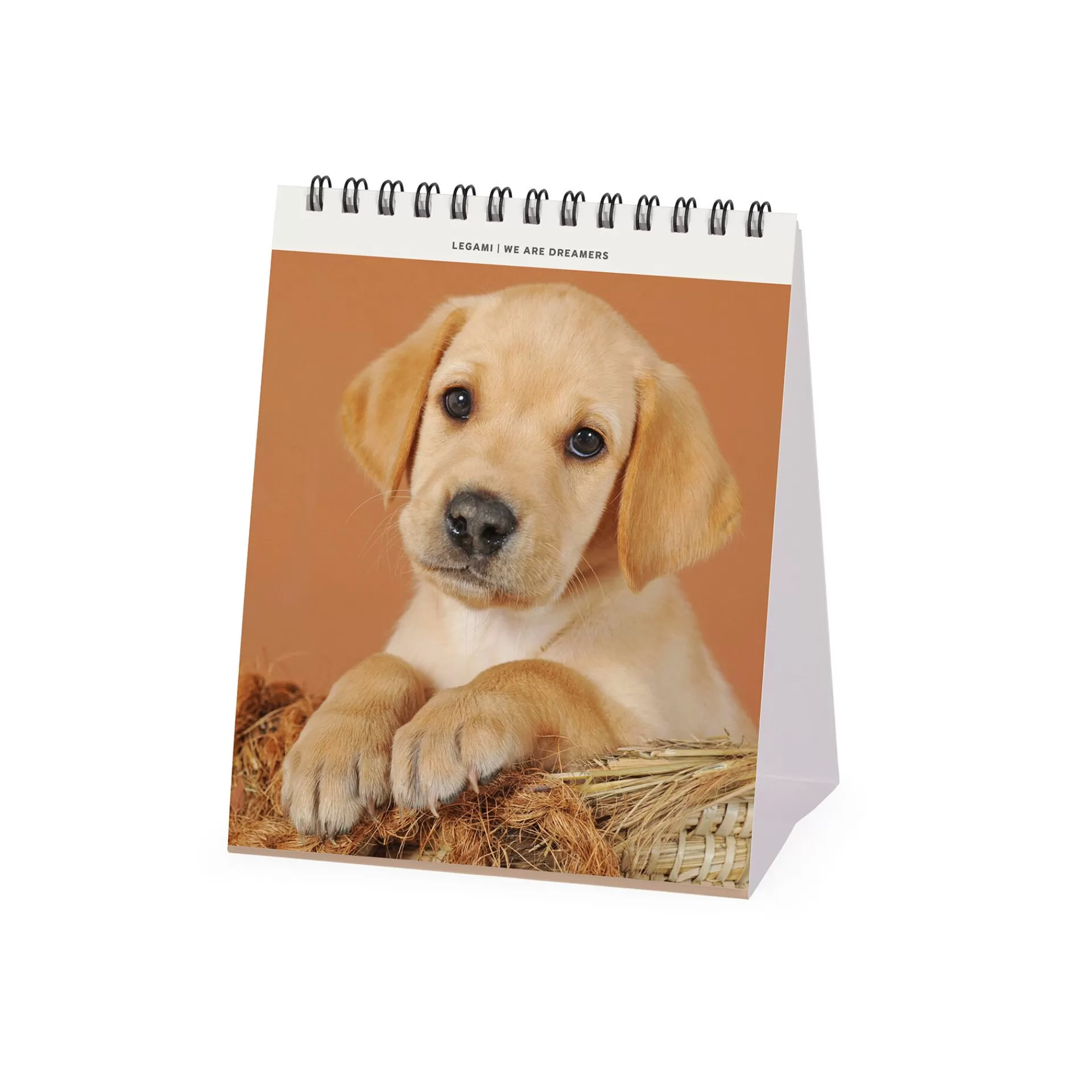 Legami Milano Tischkalender^Tischkalender 2025 - 12 x 14,5 cm