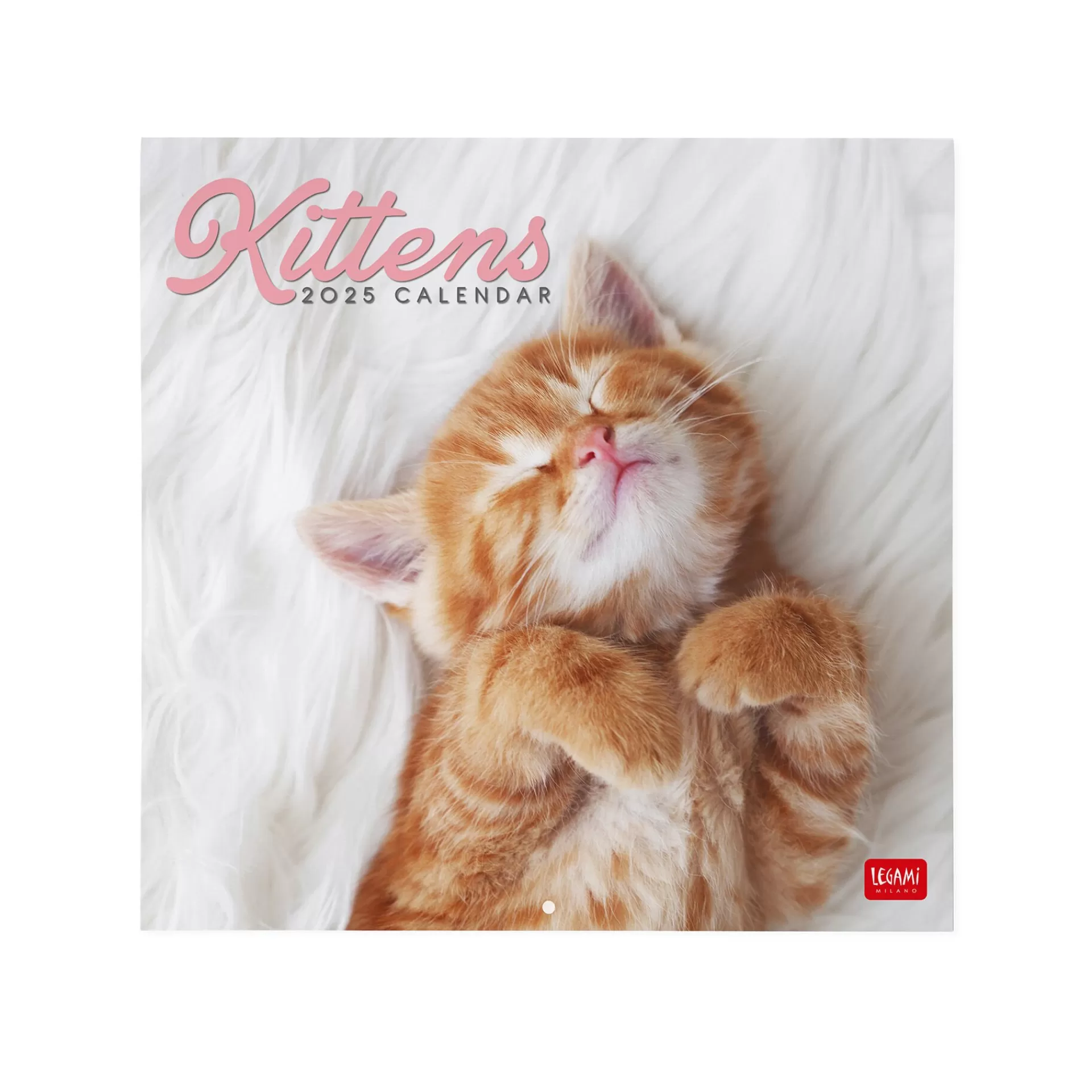 Legami Milano Wandkalender^Wandkalender 2025 - 30 x 29 cm