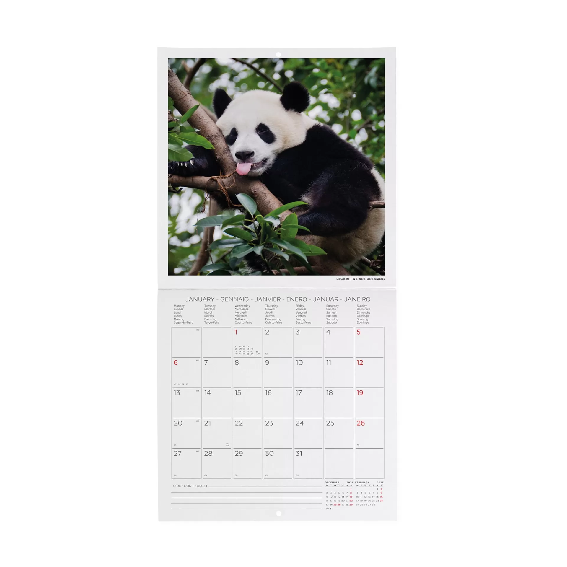 Legami Milano Wandkalender^Wandkalender 2025 - 18 x 18 cm