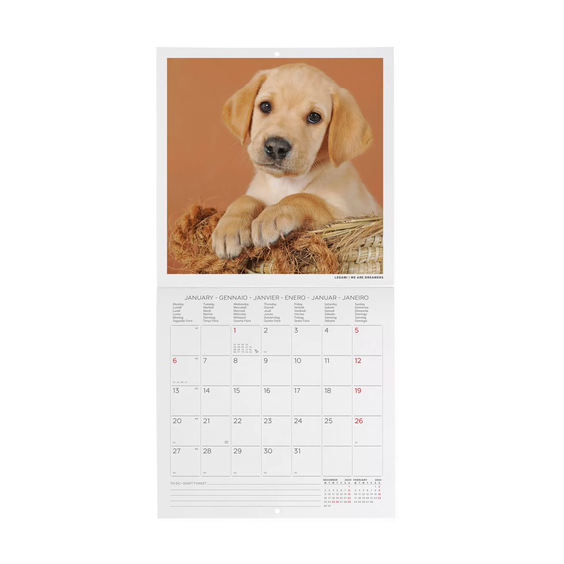 Legami Milano Wandkalender^Wandkalender 2025 - 18 x 18 cm