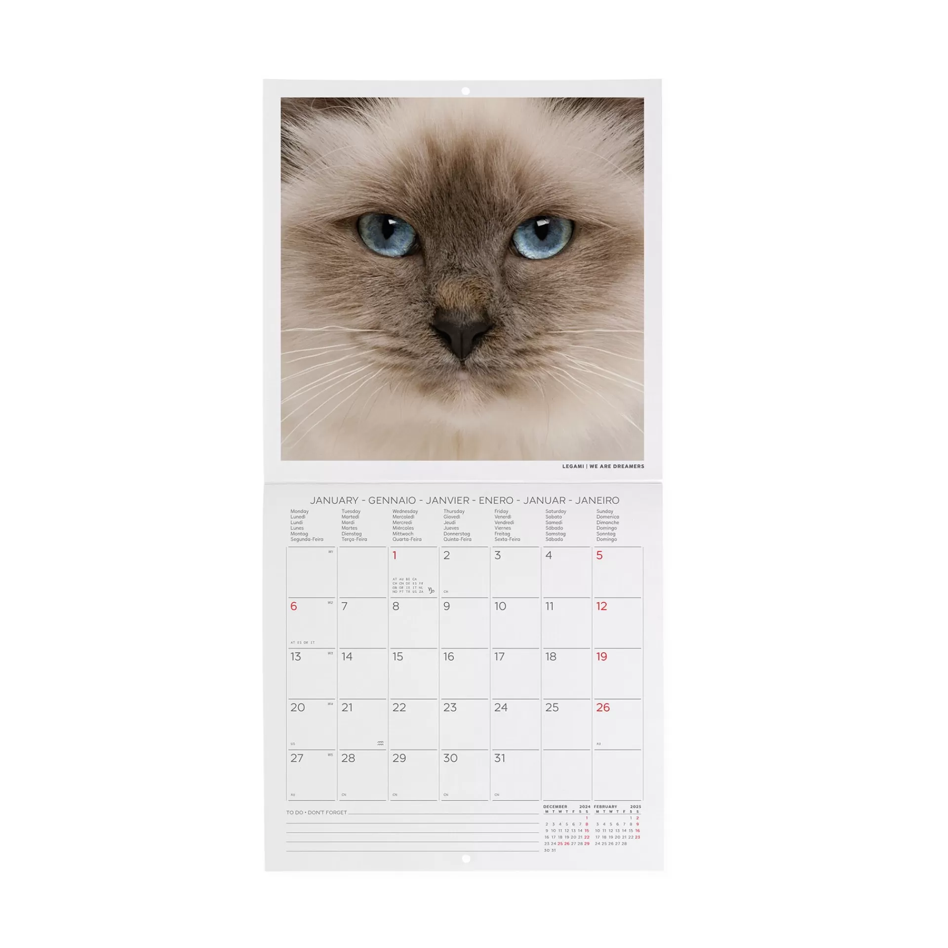 Legami Milano Wandkalender^Wandkalender 2025 - 18 x 18 cm