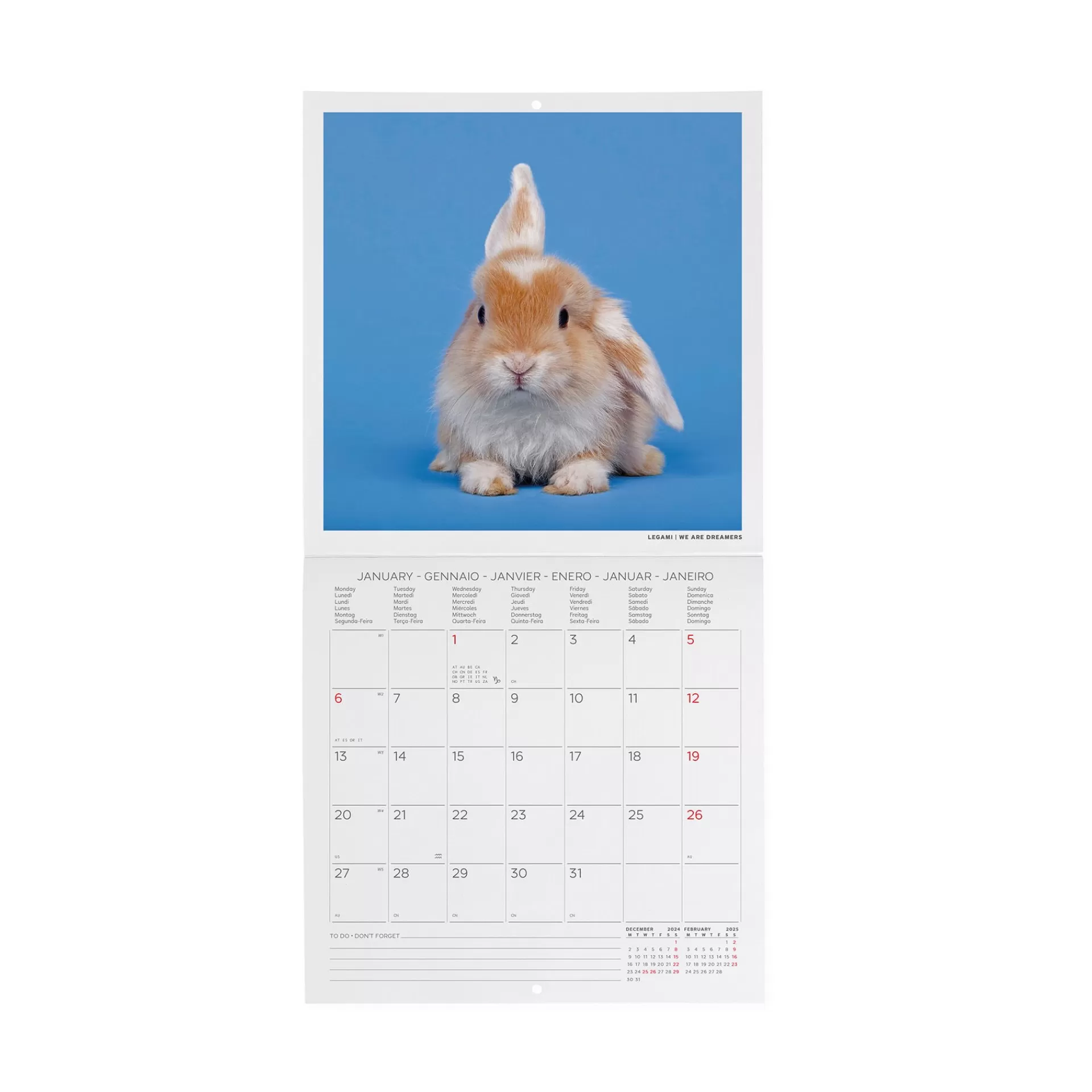 Legami Milano Wandkalender^Wandkalender 2025 - 18 x 18 cm